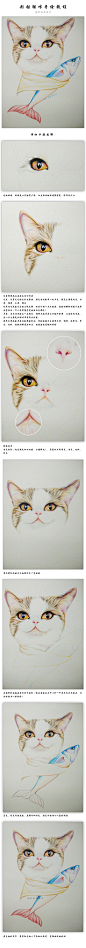彩铅猫咪手绘教程