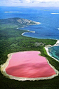 位于澳大利亚的Lake Hillier，来自幻想世界的粉色玫瑰湖，美哭~