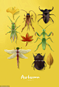 虫子动物万圣节烧烤野餐植物鲜花彩色彩绘插画插图设计