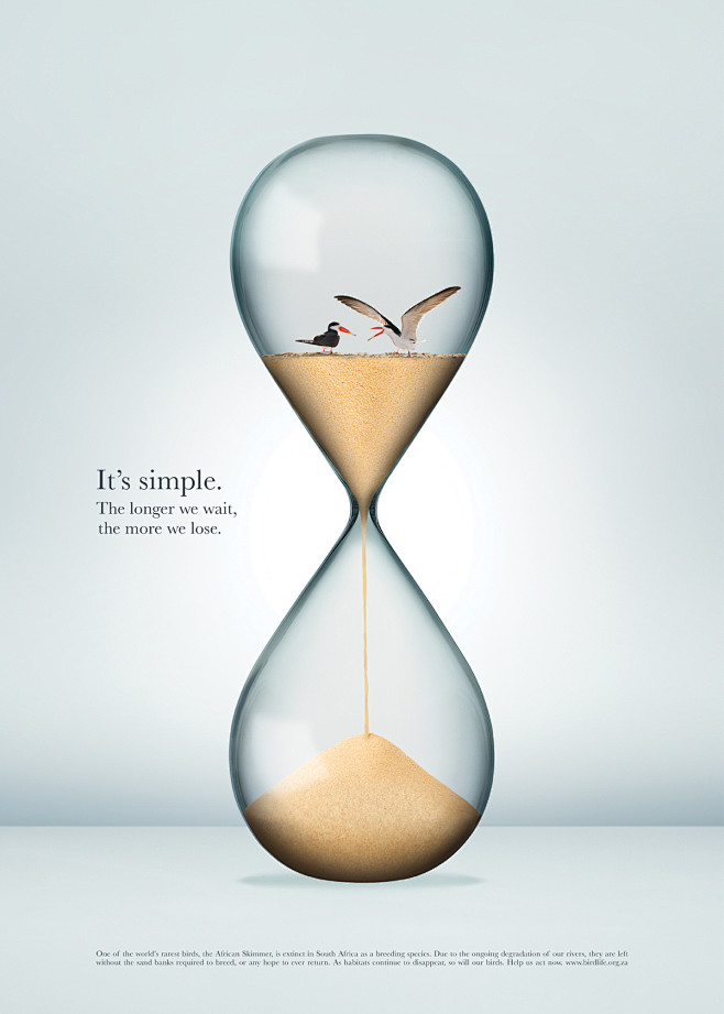 Birdlife - Hourglass...