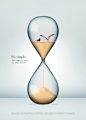 Birdlife - Hourglass Print/Poster Campaign : Print & Poster campaign for Birdlife South Africa