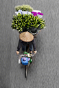 越南河内自行车商贩 摄影师Loes Heerink ​ ​​​​