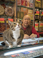 Marcel Heijnen摄影作品：香港的「铺头猫」