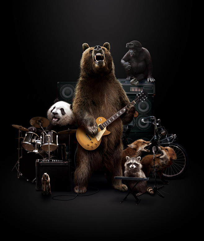 Wild band on Behance