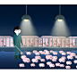 INRA-PORCHER Animals productions : Here is the 2nd part of the illustrations for Jocelyne Porcher. It is about the hard life of pigs and people in the pork industry in France. She used to work for her studies in this place and try to make life better for 