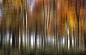 Photograph oak woods by jo stephen on 500px