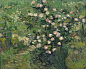 1277px-Vincent_van_Gogh_-_Roses_-_Google_Art_Project.jpg (1277×1024)