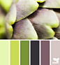 artichoke tones