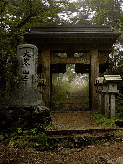 华子（兔八哥）采集到场景