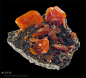 钼铅矿，7.6厘米
Red Cloud Mine, La Paz Co., Arizona, U.S.A
收藏：Irv BROWN, San Diego, Californie, U.S.A
摄影：Stuart WILENSKY