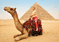 骆驼,埃及,吉萨,女人,旅行者,金字塔,金色头发,驼峰,开罗,著名景点