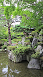 Japanese garden: 