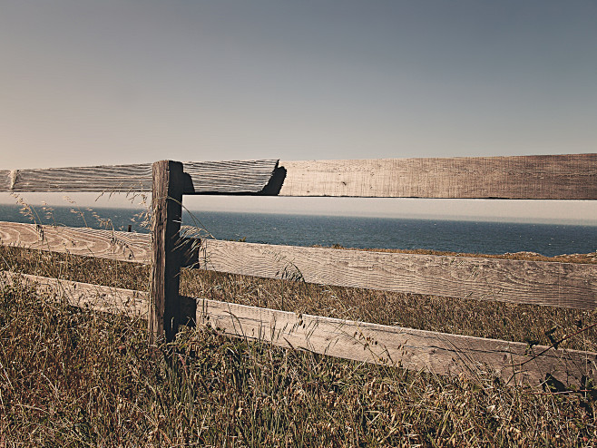 sea-ocean-meadow-fen...