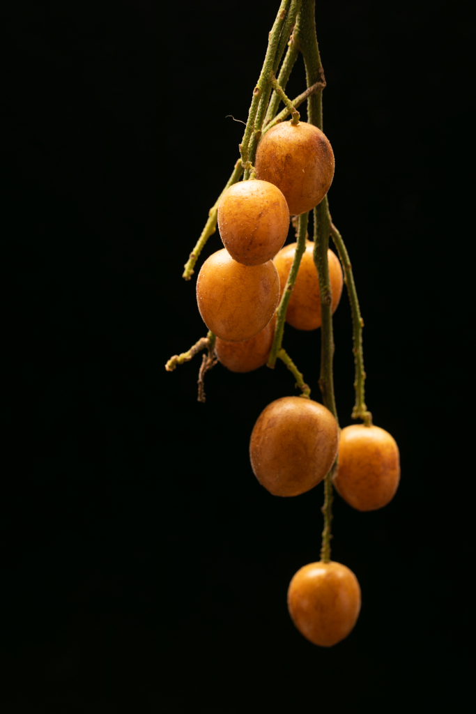 5d2af86d99e5f5f20b3c268fca8f8eb71e7466ed402ec-TI6Lvn