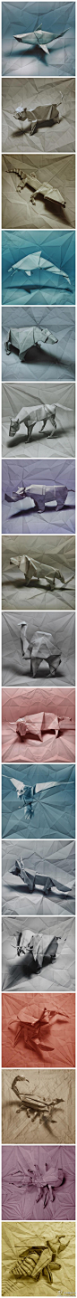 纸张的过去与现在，Marc Fichou的精致折纸动物雕塑