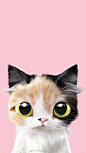 #LOGO设计# 谁画的大眼猫咪太可爱了你喜欢哪一只？ ​​​​
