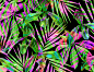 Dark Tropicals. : I have been working on these patterns for the last few month. I use watercolor, ink, crayons, and of course, lots of Photoshop:)Fashion oriented patterns.