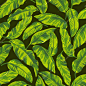 Seamless exotic pattern with tropical leaves on a black background. Vector illustration.