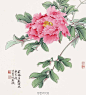 俞致贞工笔画欣赏——俞致贞（1915-1995年），女，北京人。擅长中国画。从师于非闇和张大千。历任中央美术学院、北京艺术学院、中央工艺美术学院副教授。著有《工笔花卉技法》等。