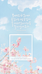 iPhone壁纸 萌物 风景 樱花 背景 套图 韩系 插画 素材 ╯з ︶ღ 麽麽