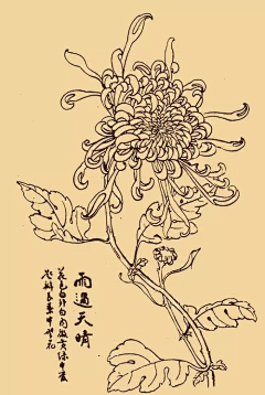 我能知道什么采集到插画-线稿