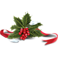 holly icon iconpng.com