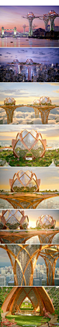 天空之城--莲花Tsvetan Toshkov。设计师将建筑弄成莲花形状中，周围是绿色生态区。