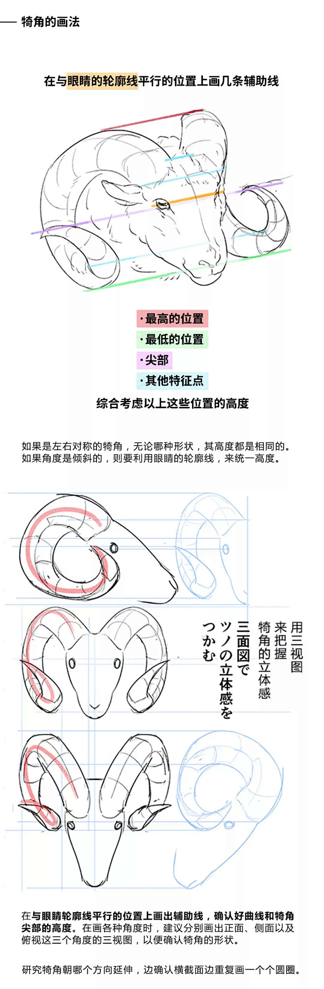 【绘画教程】如何画出好看的动物和怪兽的犄...