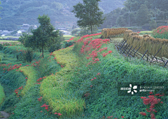 A`Xi采集到[D]地方特色  标志性 风格--景观  建筑