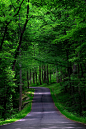 ponderation:

Road towards Rainbow falls by Saravanan Suriyanarayanan