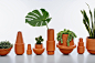 室内植物装饰设计6200例丨绿色植物盆栽草花装饰参考图片素材资源-淘宝网