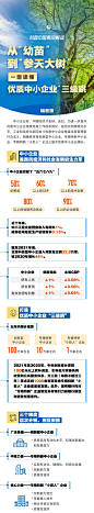 科普图解 | 一图读懂优质中小企业“三级跳”--科普中国--人民网