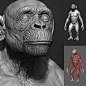 MONKEY - chimp, round 2, cl__air_  ||  Christian Leitner : I was going for a clean workflow to pass it over to other artists for facial work, rigging, texturing etc
you can also get this little one on Artstation -> https://artstn.co/m/0DBx
hope you lik