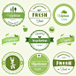 绿色餐厅标签设计 #采集大赛#