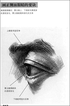 紫小鸢采集到人-眼睛