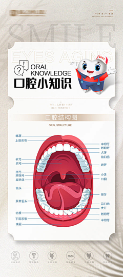 半糖馥芮白啊采集到口腔海报