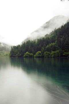 琴音未渺采集到背景