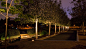 Playa Vista Central Park | OJB Landscape Architecture : Playa Vista Central Park in Los Angeles is a 9-acre park organized into a series of distinct landscape experiences unified by a central spine and linear bands of specimen trees.