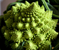 罗马花椰菜 (Romanesco Broccoli) ，俗称青宝塔，是一种可食用的花椰菜，16世纪发现于意大利。十字花科芸薹属甘蓝种一二年生草本植物。罗马花椰菜花球表面由许多螺旋形的小花所组成，小花以花球中心为对称轴成对排列。它的神奇在于其规则和独特的外形，已经成为著名的分形几何模型。