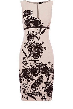 Dandelion Print Dres...