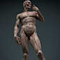 Male Écorché - Michelangelo's Lorenzo de' Medici, Kotaro Fukuda : This is a personal work to better understand anatomy.
First I sculpted A-pose ecorche with ZBrush. Next, exported the mesh to Maya and added a simple rig and posed it. (Of course it is poss