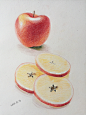 【彩铅～油性】手绘水果～红苹果