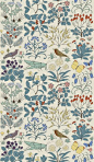 I love Trustworth wallpaper. Forever and ever. Apothecary's Garden is my favorite.