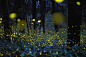 摄影师Tsuneaki Hiramatsu采用长时间曝光的方式拍摄了一组萤火虫飞舞的照片，绚烂如夏花一般。