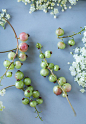 Currants and elderflower | *Fruites & Vegetables & Herbs & Berries & …