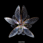 法国摄影师  Seb Janiak 用昆虫的翅膀组成盛开的蝴蝶“花”