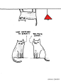 gemma correll | Gemma Correll And Other's Cat Humor