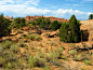 arches_national_park_28_by_shadowsstocks.jpg (900×675)