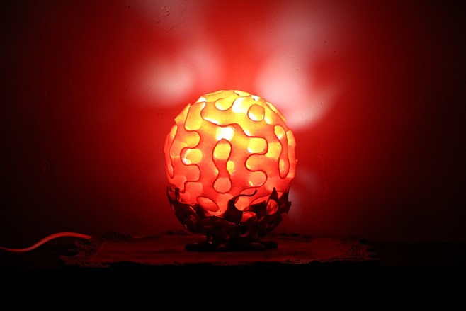 3D打印的珊瑚灯。模型文件可在https...