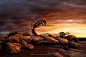 Dead Horse Point Sunrise by Rick Parchen on 500px